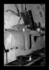 In Cantina In Cantina