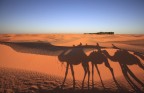 Passeggiata nel deserto Passeggiata nel deserto