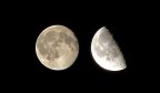 Lune Lune