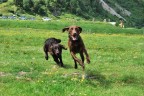 t'acchiappo!!! t'acchiappo!!!