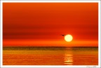 Un nuovo giorno di Agosto Un nuovo giorno di Agosto