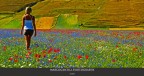La bellezza in un'immagine La bellezza in un'immagine
