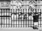 Il piccolo fotografo Il piccolo fotografo