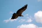 Aquila - Verdon Aquila - Verdon