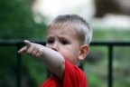Cosa è quella cosa laggiù? Cosa è quella cosa laggiù?