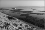 Trasimeno in BN Trasimeno in BN