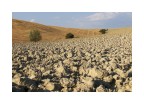 Terra d'Agosto 4