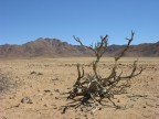 deserto deserto