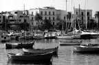 Porto sicuro... Porto sicuro...