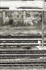 Lines Lines