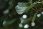 macro macro