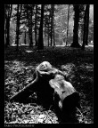 In the forest In the forest