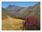 Gran Paradiso Gran Paradiso