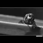 ::: UN MOMENTO DI PAUSA :::