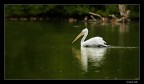 Nel lago Nel lago