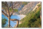 Kefalonia-Spiaggia tra gli alberi