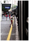 La Linea Gialla La Linea Gialla