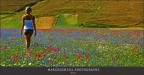 La bellezza in un'immagine La bellezza in un'immagine