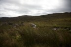 Irlanda: Connemara Irlanda: Connemara