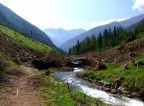 la forza della natura la forza della natura