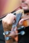 Violino Violino