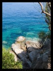 isola del giglio isola del giglio