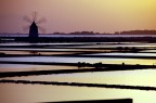 saline saline