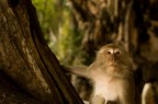 BKK_12 BKK_12