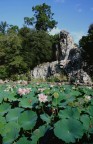 Gigante dell'Appennino II Gigante dell'Appennino II