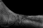 The lines of my life The lines of my life