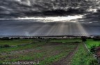 Luce d'Irlanda Luce d'Irlanda