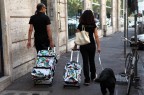 il re del gossip il re del gossip