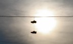 Shoes above all Shoes above all