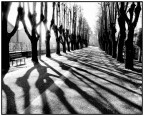 un viale un viale