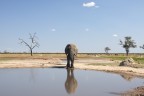 forme d'africa forme d'africa