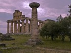 Paestum