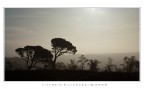 Controluce Controluce