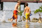 Giochi estivi Giochi estivi