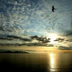 Seascape Seascape