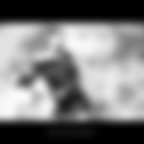 Bellezza in bicicletta...