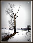 Neve Neve
