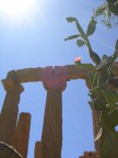 Templi siciliani Templi siciliani