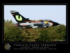 Tornado tiger...