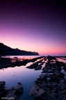 Purple Purple