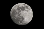 luna luna