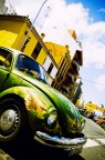 green beetle green beetle