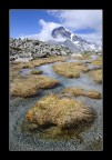 verso il lago verso il lago