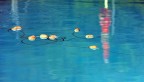 ore 19,00, quando la piscina chiude ore 19,00, quando la piscina chiude