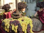 Momento della sfilata dei carri allegorici dedicati all'uva e al vino.
Impruneta (FI) 2009