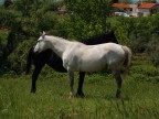 Bianco e Nero Bianco e Nero